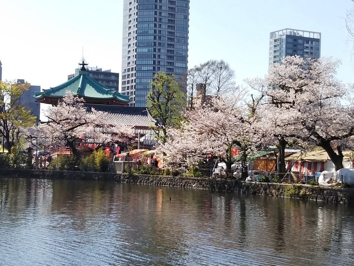 🐼 우에노 동물원 (恩賜上野動物園) 이미지 4